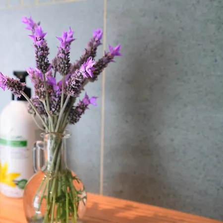 Apartmán Sunny Canteras Las Palmas de Gran Canaria